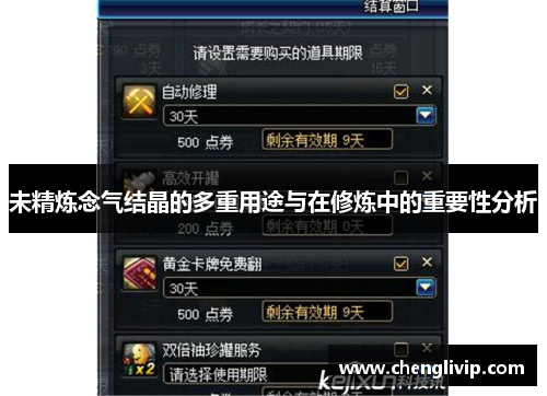 未精炼念气结晶的多重用途与在修炼中的重要性分析